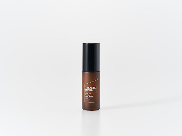 テラステムセラム