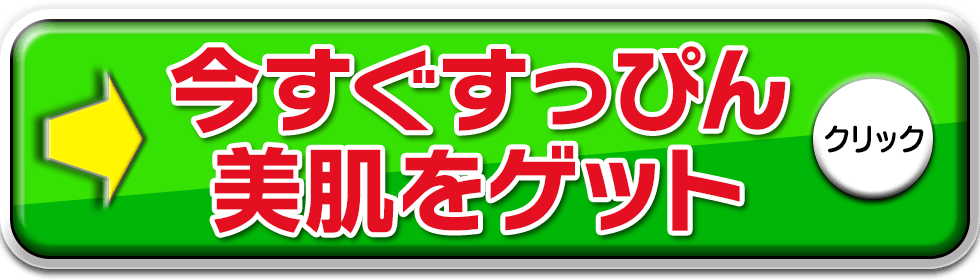 毛穴を本気でおそうじ
