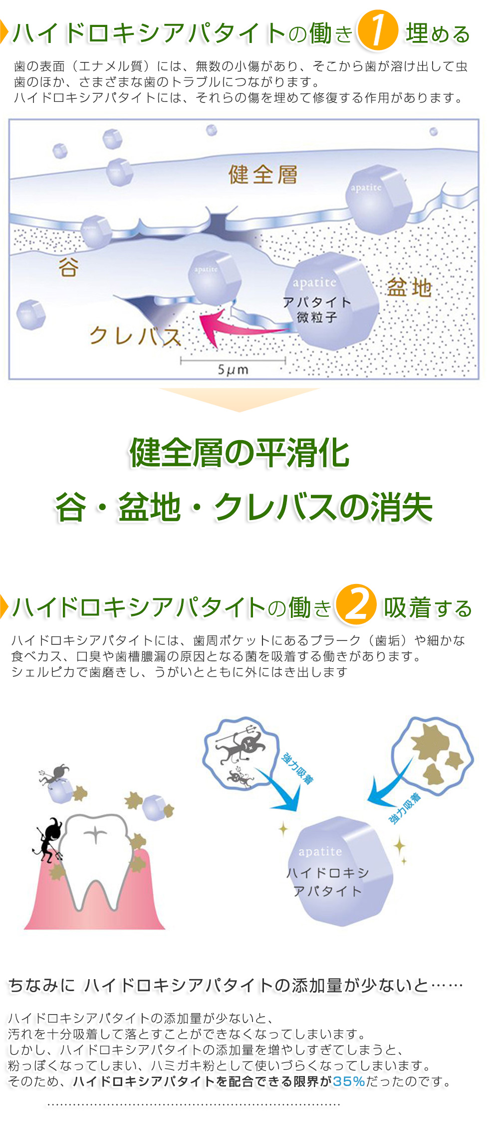 ハイドロキシアパタイトの働き1