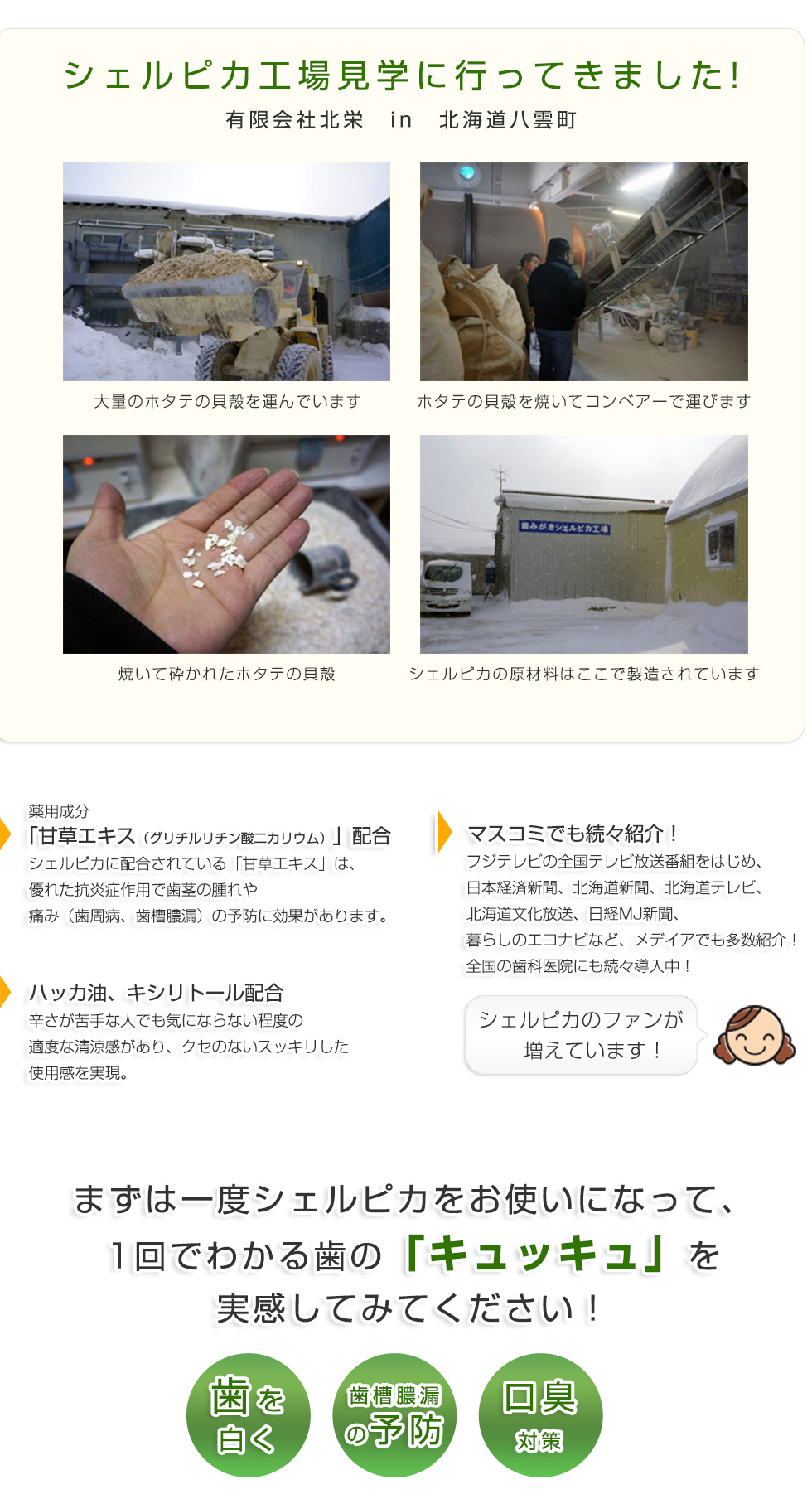 シェルピカ工場見学に行ってきました