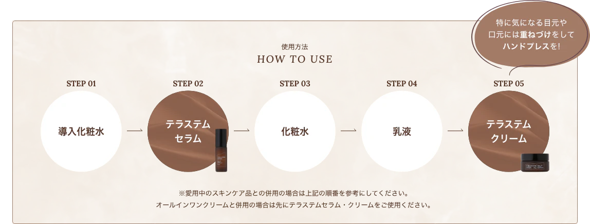 テラステム 使用方法
