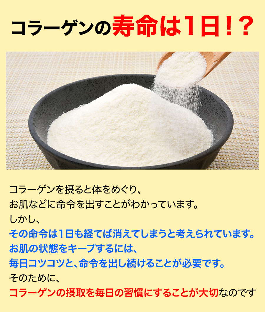 寿命は1日!?